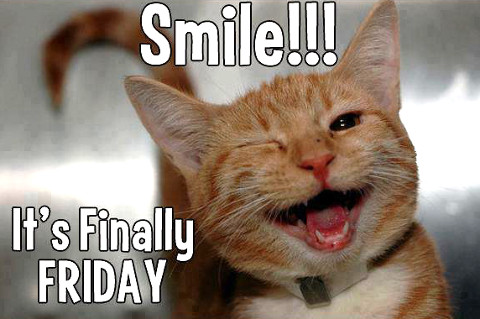 smile-friday-lolcat